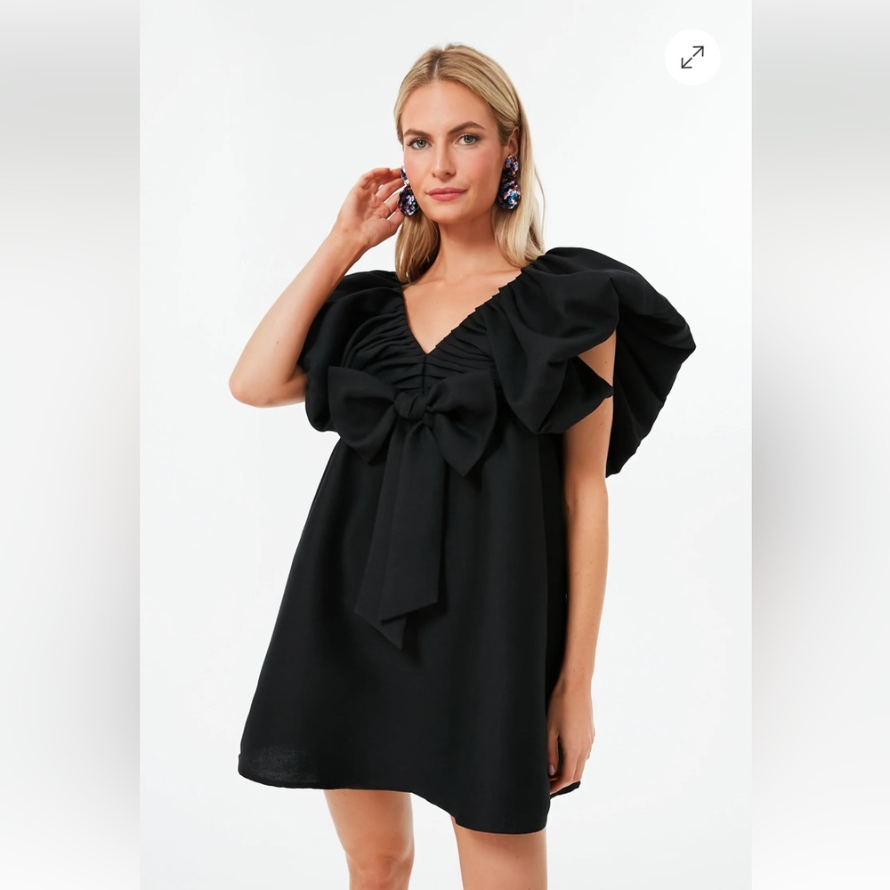 Black Brooke Mini Dress
TUCKERNUCK - Picture 3 of 8